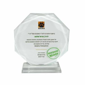 מגן זכוכית מתומן 17 ס"מ